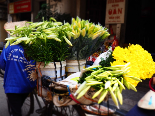 Prodej květin Hanoj
